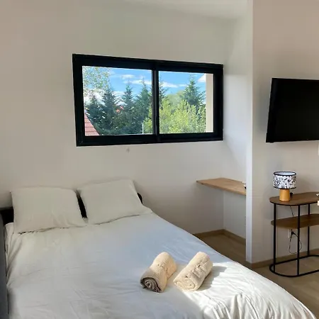 Appartamento Moderne Avec Terrasse Proche De Lyon