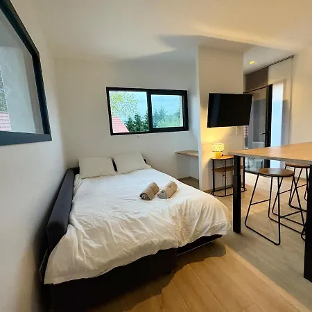 Moderne Avec Terrasse Proche De Lyon * Écully